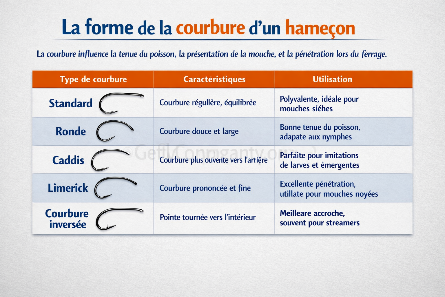forme et courbure hameçon