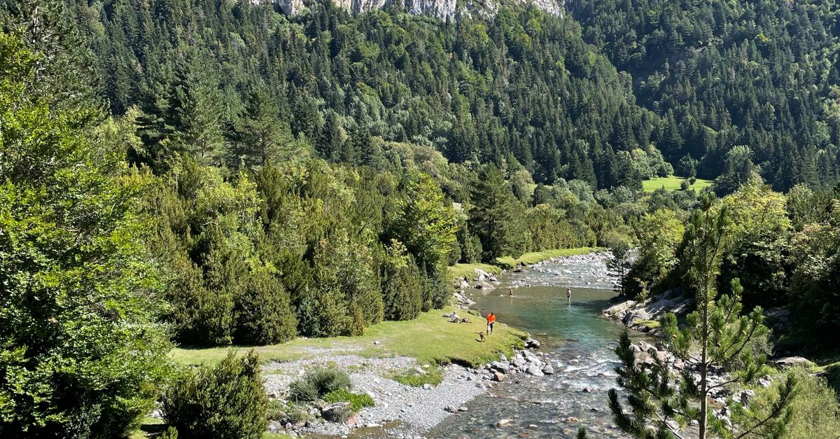 une vallee fluviale a couper le souffle en ete avec des montagnes et une vegetation luxuriante