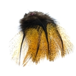 plume de coq pardo