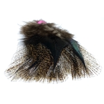 plume de coq