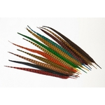 faisan plume