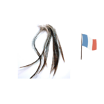 plume de coq