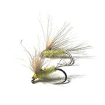 mouche seche