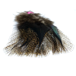 plumes coq pardo