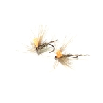 mouche seche debut de saison