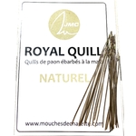 quill de paon ébarbé
