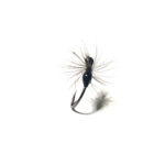 mouche fourmi volante