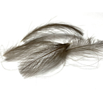 plume cul de canard