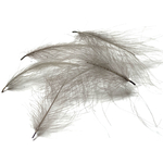 plume cul de canard