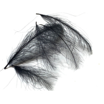 plume cdc