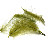 plume cul de canard