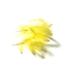 plumes cdc