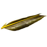 tempImageSDTzfd