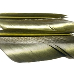 plumes substitut de condor medium olive