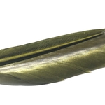 plumes substitut de condor medium olive