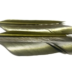 plumes substitut de condor medium olive