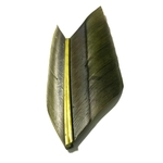 plumes substitut de condor medium olive
