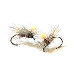 mouche sèche tavanas