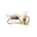 mouche sèche tavanas