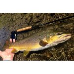 MKII-Nymph-Fly-Rods-66491-XXX-mk2nymphrod