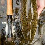 MKII-Nymph-Fly-Rods-66491-XXX-mk2ii