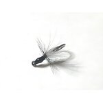 Mouche Fourmi Volante-2-min