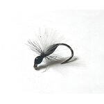 Mouche Fourmi Volante-2-min
