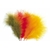 plume de marabout
