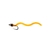 Squirmy worm
