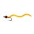 Mouche Squirmy worm
