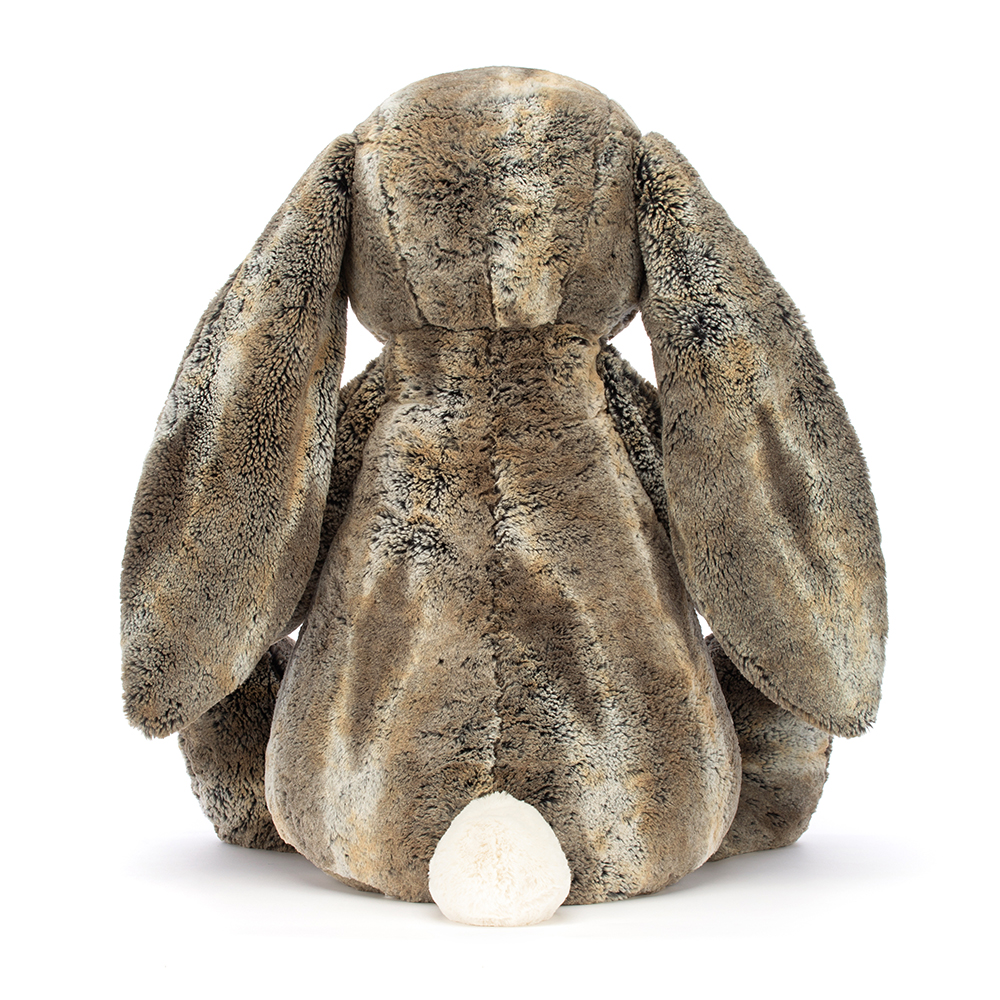 Cottontail Géant