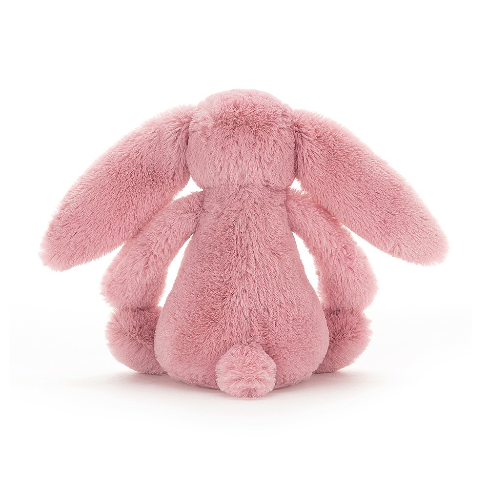 Tulipe petit