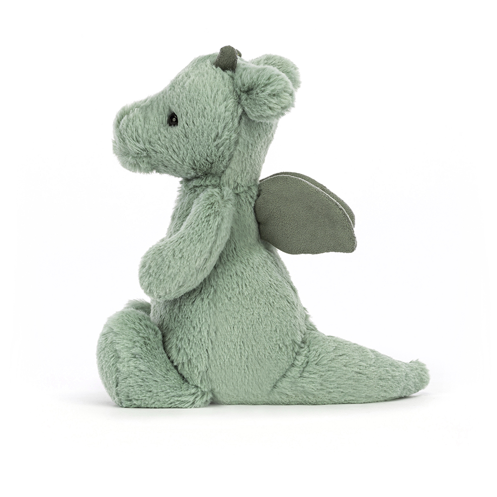 Dragon timide petit