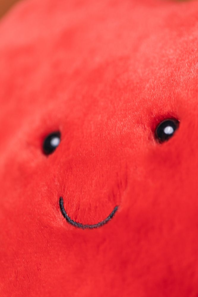 A4HB-Amuseables-Red-Heart-Bag-Burnt-Orange-Detail-Shot-3