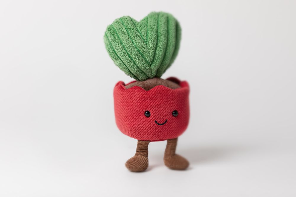 A6HOY-Amuseables-Kerrii-Cactus-Neutral-Detail-Shot-2