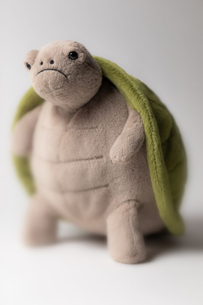 TIM3TUR-Timmy-Turtle-Neutral-Detail-Shot-6