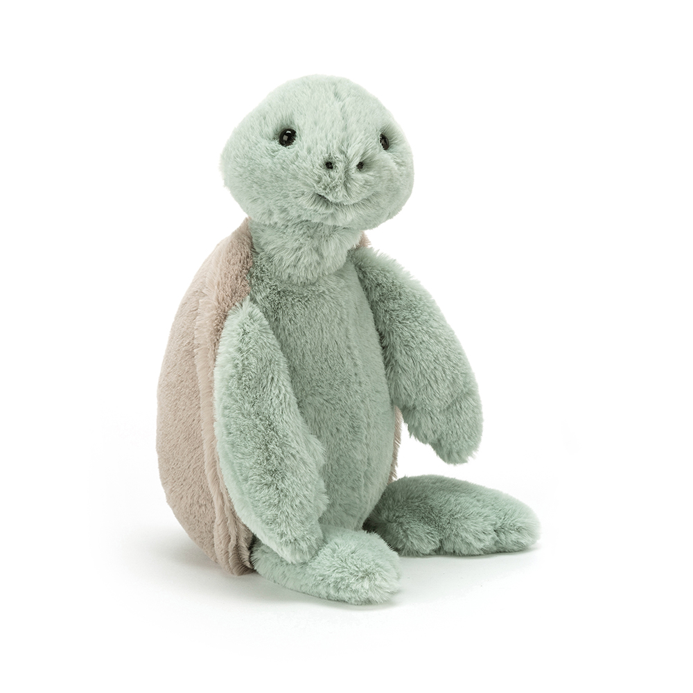 Bashful-Turtle