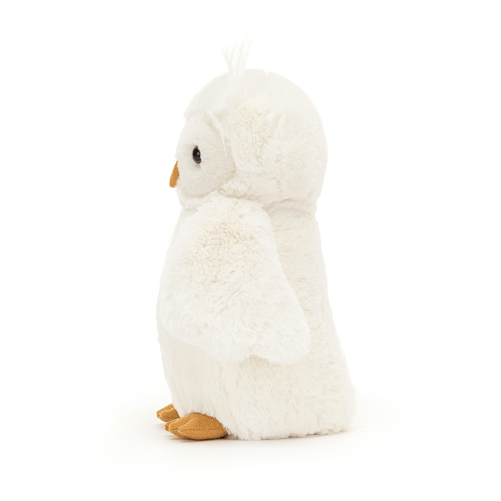 BAS3OWL_2
