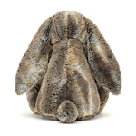 Cottontail Vraiment grand