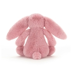 Tulipe petit