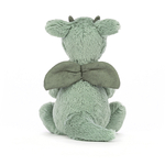 Dragon timide petit