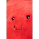 A4HB-Amuseables-Red-Heart-Bag-Burnt-Orange-Detail-Shot-3