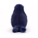 BIR6SN_3