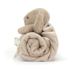 BLNK4B_2