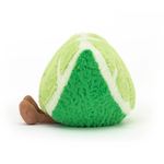 A2LIME_2