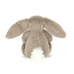 BASS6BR_3__16955