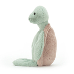 Bashful-Turtle