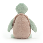 Bashful-Turtle