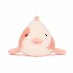 Fancy-Carp