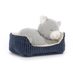 NAP3NC_4